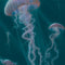 Blue Jellyfish by Vincent Hie AirPods Pro 2nd Gen Skin